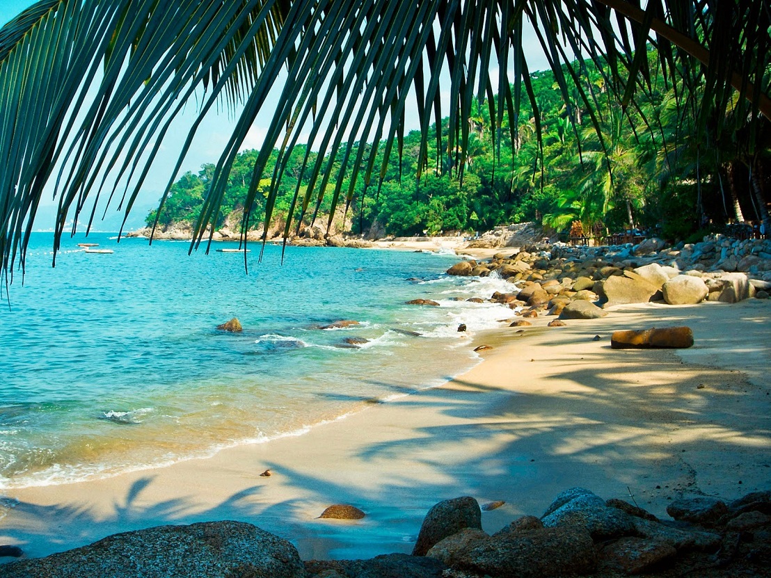 Preparan al menos 14 inversiones hoteleras en Bahía de Banderas | Conectando Negocios