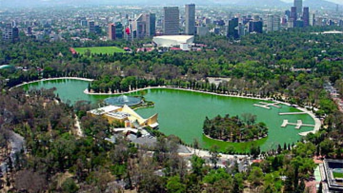 El proyecto del Bosque de Chapultepec respetará flora y fauna | Conectando Negocios