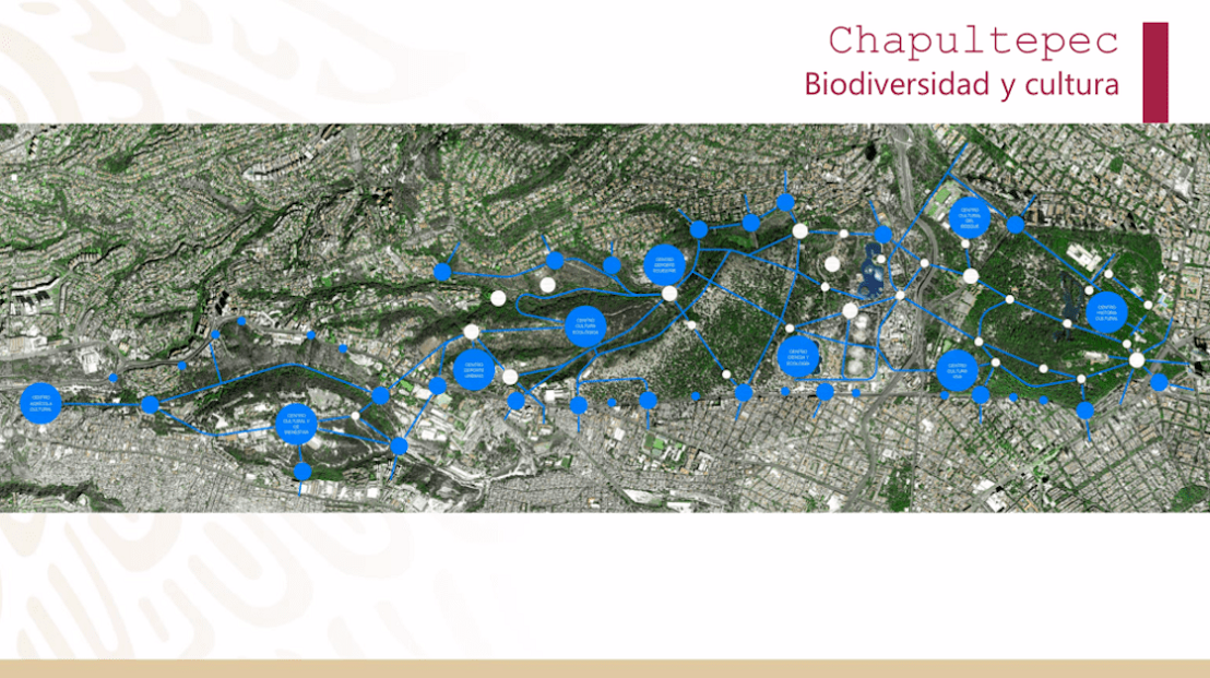 El proyecto del Bosque de Chapultepec respetará flora y fauna | Conectando Negocios