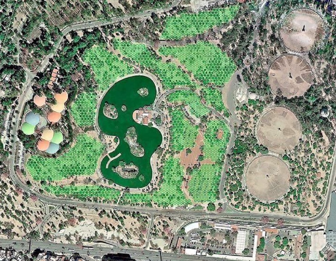 Así avanza el Proyecto cultural del Bosque de Chapultepec  | Conectando Negocios